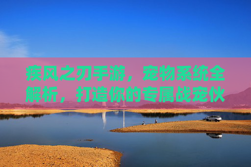 疾风之刃手游,宠物系统全解析,打造你的专属战宠伙伴