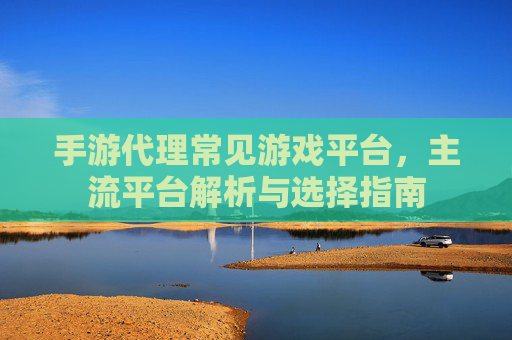 手游代理常见游戏平台，主流平台解析与选择指南