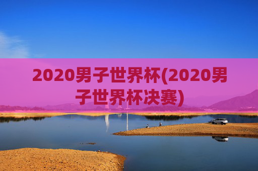 2020男子世界杯(2020男子世界杯决赛)