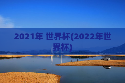 2021年 世界杯(2022年世界杯)