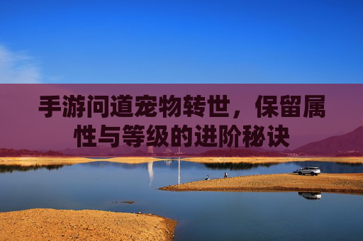 手游问道宠物转世,保留属性与等级的进阶秘诀