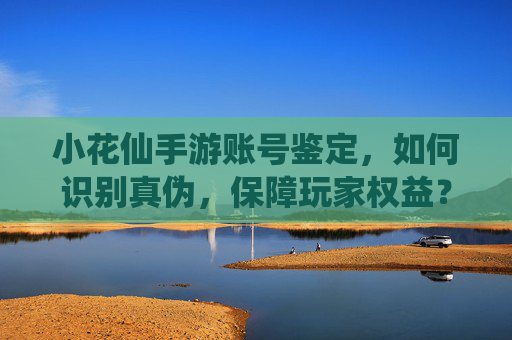 小花仙手游账号鉴定,如何识别真伪,保障玩家权益?小花仙手游账号鉴定,如何识别真伪,保障玩家权益?