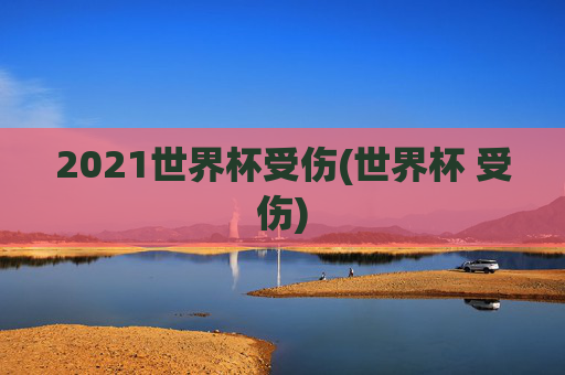 2021世界杯受伤(世界杯 受伤)