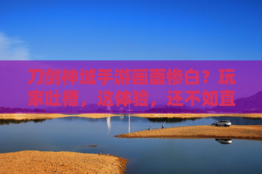 刀剑神域手游画面惨白?玩家吐槽,这体验,还不如直接看动画,优化问题亟待解决,刀剑神域手游画面惨白引玩家吐槽,体验差过动画,优化亟待解决