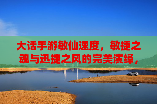 大话手游敏仙速度，敏捷之魂与迅捷之风的完美演绎，大话手游敏仙速度，敏捷之魂与迅捷之风的完美演绎