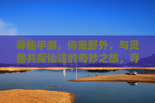 寻仙手游,侍宠野外,与灵兽共探仙途的奇妙之旅,寻仙手游,侍宠野外与灵兽共探仙途的奇妙之旅