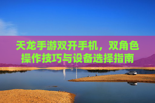 天龙手游双开手机，双角色操作技巧与设备选择指南