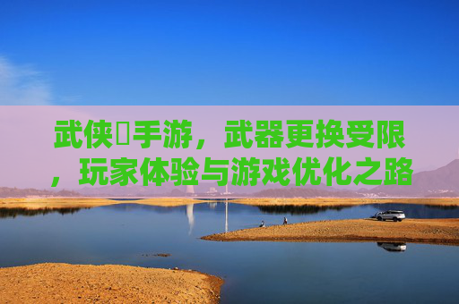 武侠乂手游，武器更换受限，玩家体验与游戏优化之路，武侠乂手游，武器更换受限，玩家体验与游戏优化之路