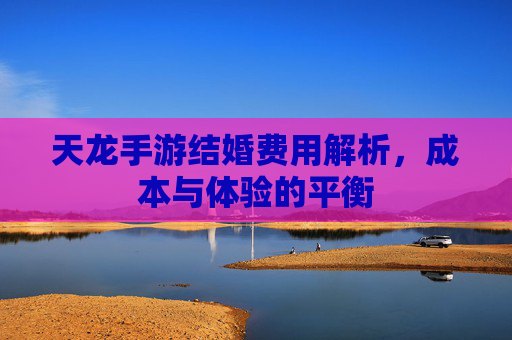 天龙手游结婚费用解析,成本与体验的平衡