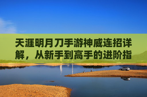 天涯明月刀手游神威连招详解,从新手到高手的进阶指南
