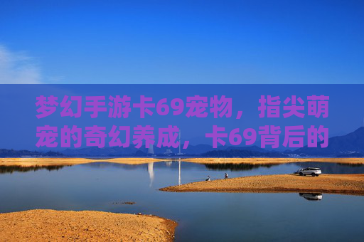 梦幻手游卡69宠物,指尖萌宠的奇幻养成,卡69背后的养成乐趣与价值