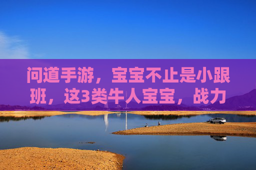问道手游,宝宝不止是小跟班,这3类牛人宝宝,战力爆表还省心,新手也能轻松养!