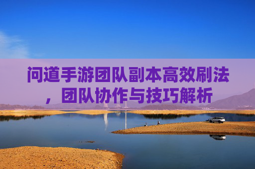 问道手游团队副本高效刷法,团队协作与技巧解析