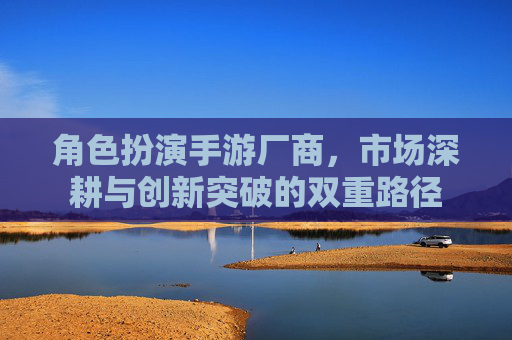 角色扮演手游厂商,市场深耕与创新突破的双重路径