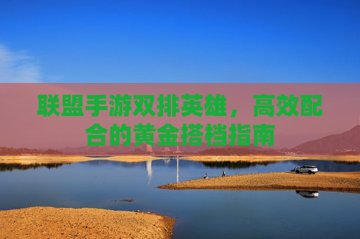 联盟手游双排英雄,高效配合的黄金搭档指南