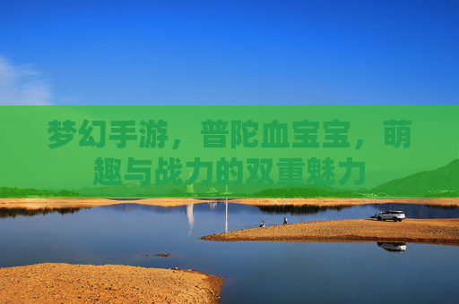 梦幻手游，普陀血宝宝，萌趣与战力的双重魅力