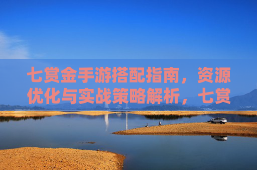 七赏金手游搭配指南，资源优化与实战策略解析，七赏金手游搭配指南，资源优化与实战策略解析