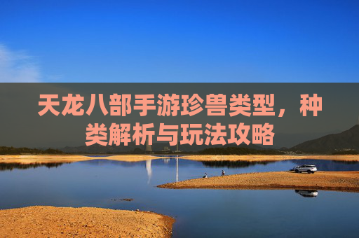 天龙八部手游珍兽类型，种类解析与玩法攻略