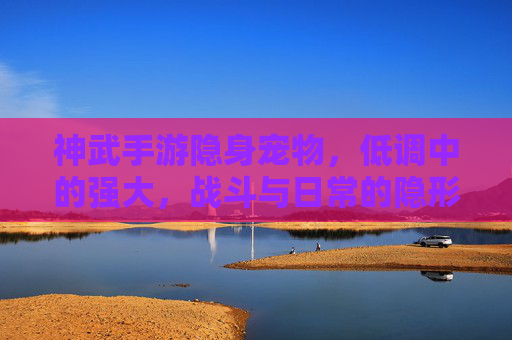 神武手游隐身宠物，低调中的强大，战斗与日常的隐形守护者