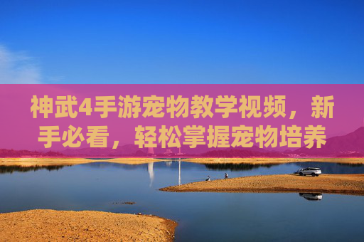 神武4手游宠物教学视频,新手必看,轻松掌握宠物培养技巧,提升战斗效率!