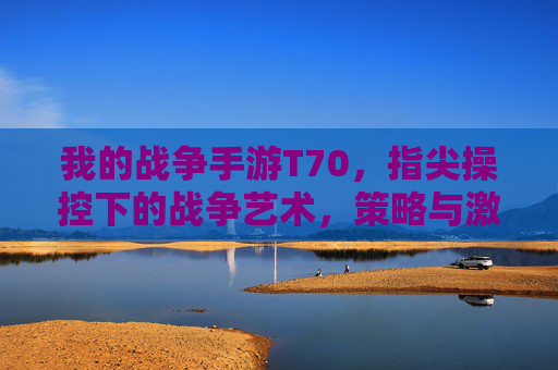 我的战争手游T70,指尖操控下的战争艺术,策略与激情的完美融合,我的战争手游T70,指尖操控下的战争艺术,策略与激情的完美融合