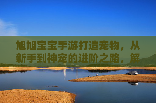 旭旭宝宝手游打造宠物，从新手到神宠的进阶之路，解锁游戏新玩法！旭旭宝宝手游宠物进阶，从新手到神宠的打造之旅，解锁游戏新玩法！