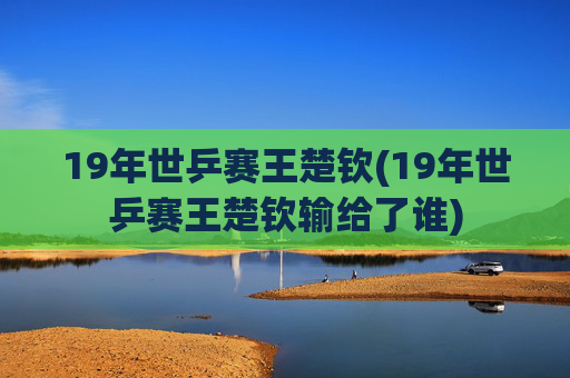 19年世乒赛王楚钦(19年世乒赛王楚钦输给了谁)