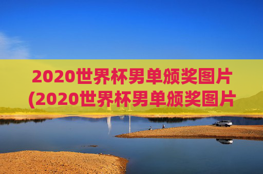 2020世界杯男单颁奖图片(2020世界杯男单颁奖图片大全)
