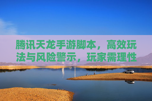 腾讯天龙手游脚本，高效玩法与风险警示，玩家需理性看待工具辅助，腾讯天龙手游脚本，高效玩法与风险警示，玩家需理性看待工具辅助