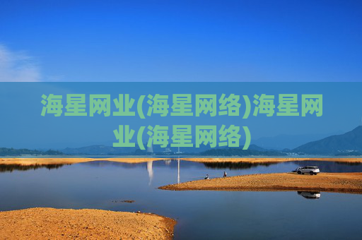 海星网业(海星网络)海星网业(海星网络)
