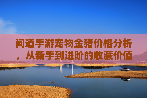 问道手游宠物金猪价格分析,从新手到进阶的收藏价值与市场行情