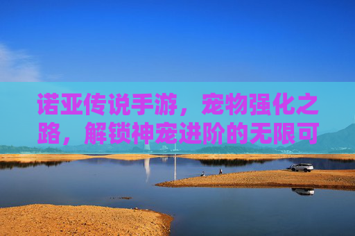 诺亚传说手游,宠物强化之路,解锁神宠进阶的无限可能,诺亚传说手游,宠物强化之路,解锁神宠进阶的无限可能