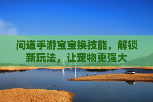 问道手游宝宝换技能，解锁新玩法，让宠物更强大