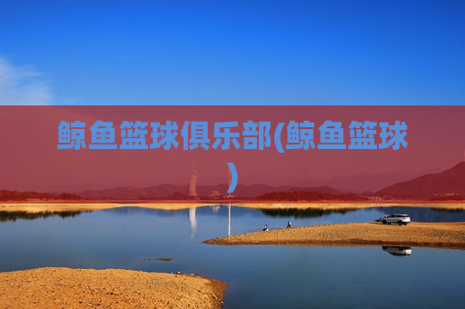 鲸鱼篮球俱乐部(鲸鱼篮球)