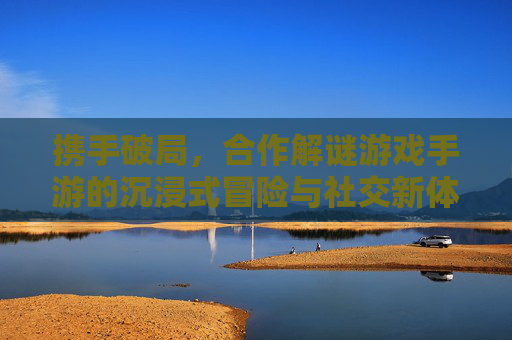 携手破局，合作解谜游戏手游的沉浸式冒险与社交新体验，携手破局，合作解谜游戏手游的沉浸式冒险与社交新体验