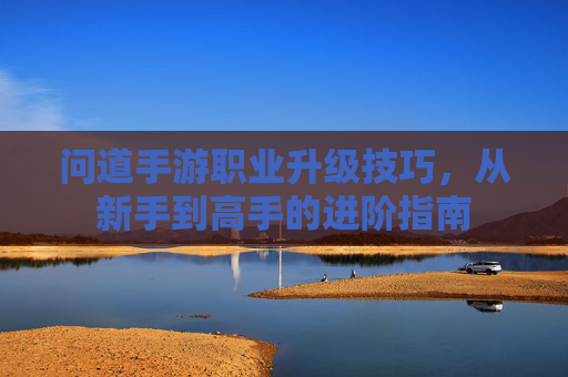问道手游职业升级技巧，从新手到高手的进阶指南