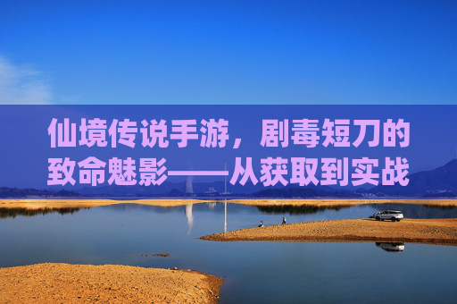 仙境传说手游,剧毒短刀的致命魅影——从获取到实战的深度解析