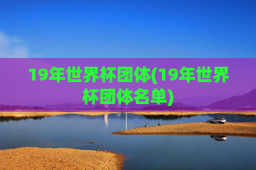 19年世界杯团体(19年世界杯团体名单)