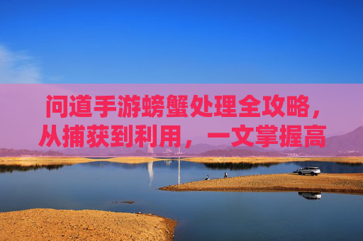 问道手游螃蟹处理全攻略,从捕获到利用,一文掌握高效方法