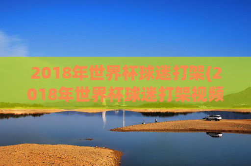 2018年世界杯球迷打架(2018年世界杯球迷打架视频)