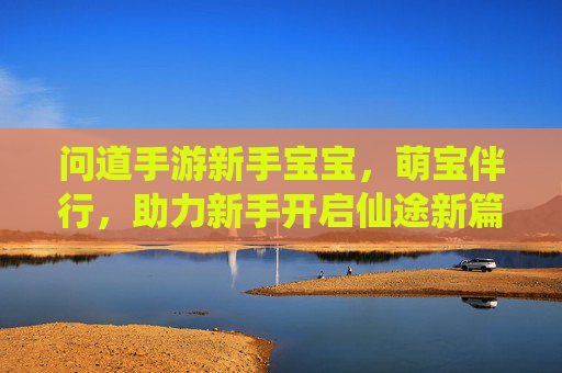 问道手游新手宝宝,萌宝伴行,助力新手开启仙途新篇章,问道手游新手萌宝伴行,助力开启仙途新篇章