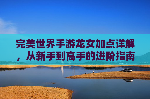 完美世界手游龙女加点详解,从新手到高手的进阶指南