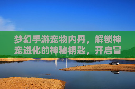 梦幻手游宠物内丹,解锁神宠进化的神秘钥匙,开启冒险新篇章,梦幻手游宠物内丹,解锁神宠进化,开启冒险新篇章