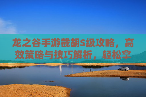 龙之谷手游截胡S级攻略,高效策略与技巧解析,轻松拿下顶级奖励!