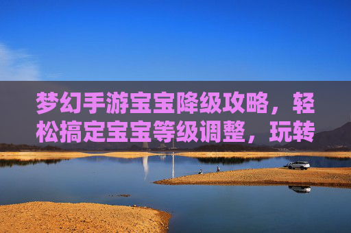 梦幻手游宝宝降级攻略,轻松搞定宝宝等级调整,玩转角色成长新体验