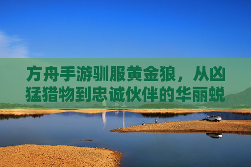 方舟手游驯服黄金狼,从凶猛猎物到忠诚伙伴的华丽蜕变,方舟手游驯服黄金狼,从凶猛猎物到忠诚伙伴的华丽蜕变