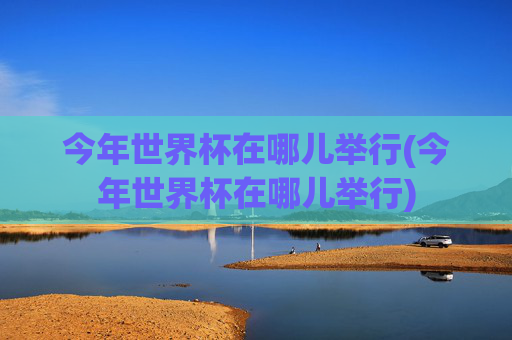 今年世界杯在哪儿举行(今年世界杯在哪儿举行)