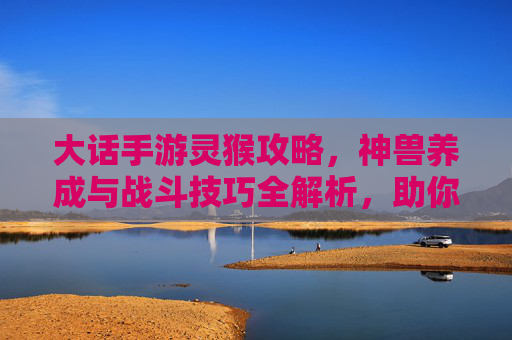 大话手游灵猴攻略,神兽养成与战斗技巧全解析,助你玩转神猴