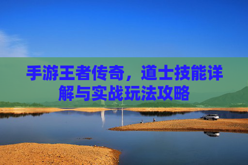 手游王者传奇,道士技能详解与实战玩法攻略