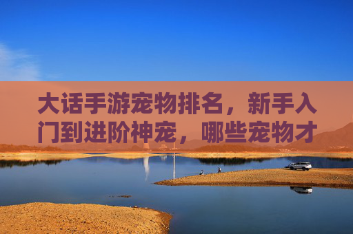大话手游宠物排名，新手入门到进阶神宠，哪些宠物才是真正的神？